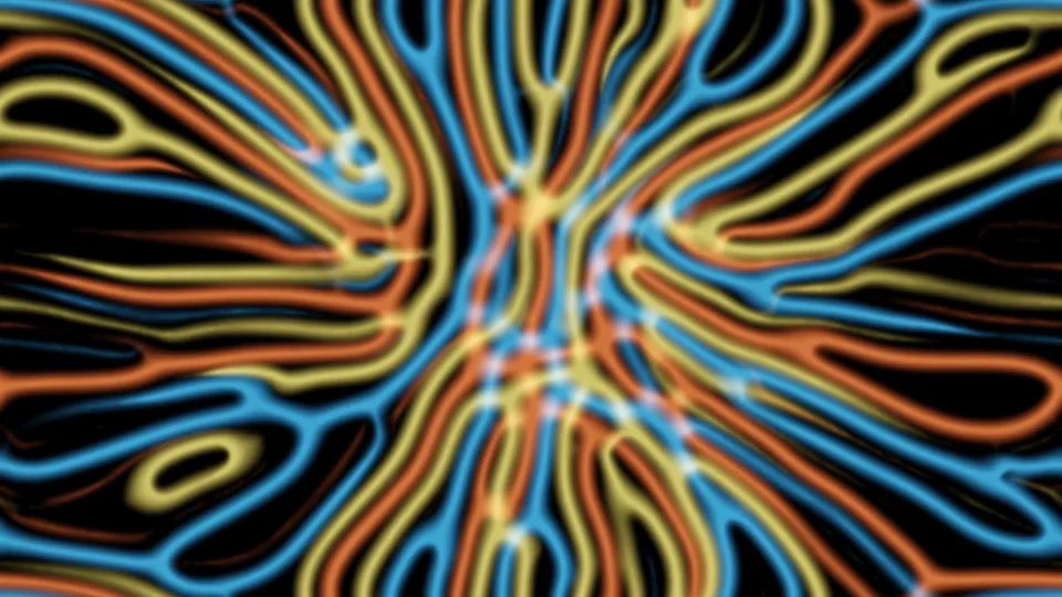 Three colors of slime mold trails branching out from a central bloom